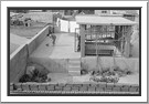 Roof garden