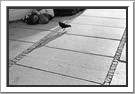 Passers by