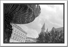 University