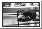 Missing the last train home