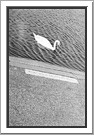 Swan abstract