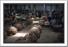Market day